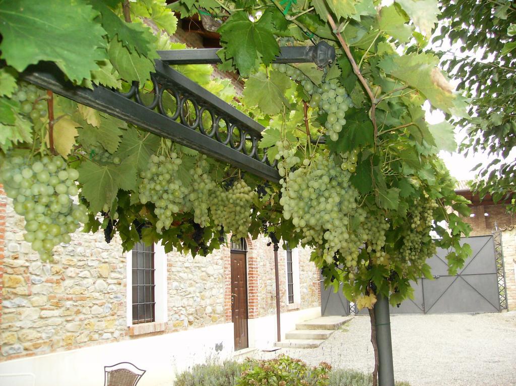 Agriturismo Casa Garello Salice Terme Buitenkant foto
