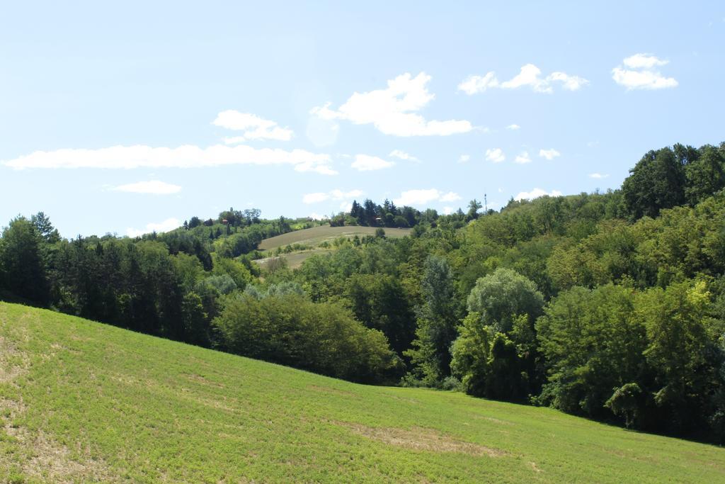 Agriturismo Casa Garello Salice Terme Buitenkant foto