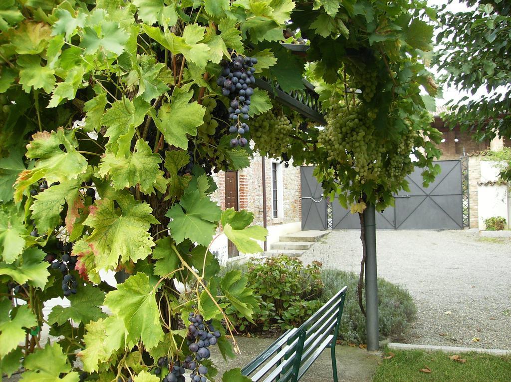 Agriturismo Casa Garello Salice Terme Buitenkant foto